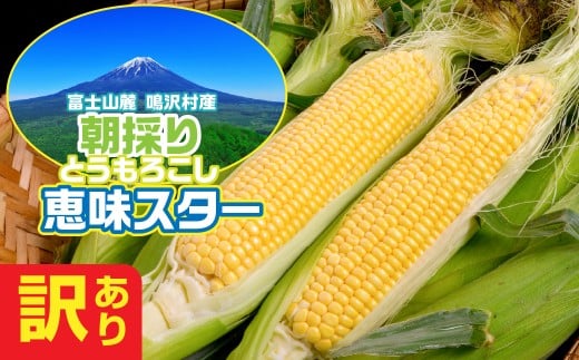 【2026年7月下旬発送】鳴沢村産　とうもろこし　恵味スタ－　【訳あり品】 ふるさと納税 山梨県 鳴沢村 送料無料 NSH005
