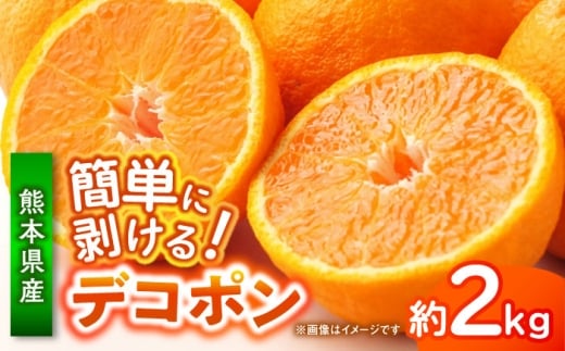 【先行予約】 デコポン　約2kg 柑橘 みかん 蜜柑 熊本 フルーツ 果物 【日本フルーツ株式会社】 [ZFJ032]