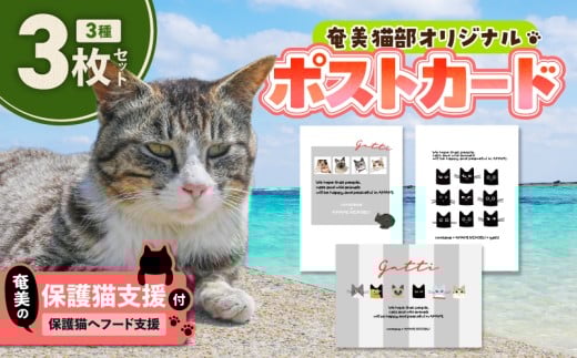 【奄美の保護猫支援（保護猫フード10日分）】＋ポストカード3枚セット　A071-006