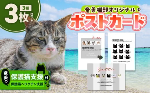 【奄美の保護猫支援（ワクチン代）】＋ポストカード3枚セット　A071-007