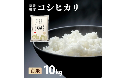 福井県産 コシヒカリ 精米 10kg（10kg×1）＜令和7年産 新米 / 数量限定 ＞【米 コメ お米 精米 白米 無洗米 玄米 ご飯 飯 こしひかり ブランド米 国産】[095-a003_B] 2370985 - 福井県敦賀市