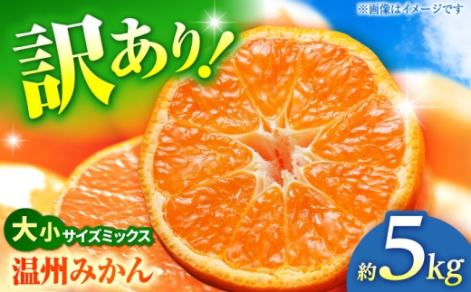 【先行予約】 温州みかん 訳あり サイズミックス 3S-3L 約5kg みかん 蜜柑 サイズ 不選別 家庭用 柑橘 フルーツ 果物 【日本フルーツ株式会社】 [ZFJ050]