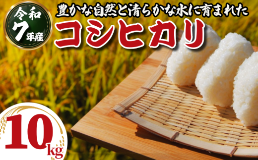 令和7年産 米 コシヒカリ 選べる 10kg 新米 白米 ご飯 おにぎり お弁当 ギフト 贈答 プレゼント お取り寄せ グルメ 先行予約 送料無料 徳島 小松島 2370413 - 徳島県小松島市