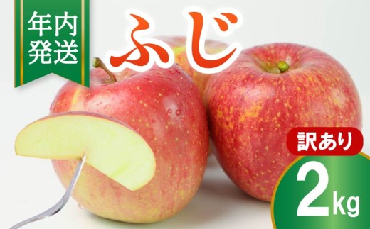 りんご ふじ 訳あり 約2kg 2025年産 令和7年産 フルーツ 果物 スイーツ デザート おやつ ふじりんご 林檎 リンゴ 旬 贅沢 お菓子 サラダ 2kg 2キロ りんご 訳あり 訳アリ 産地直送 数量限定 先行予約 不揃い 奈良県 奈良市 2374703 - 奈良県奈良市