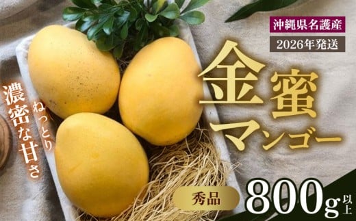 【2026年 先行予約 数量限定】マンゴー好きに食べてもらいたい！金蜜マンゴー 秀品800g以上 秀品 先行予約 沖縄 甘味 糖度 濃厚 おいしい お土産 まんごー きんみつ ギフト プレゼント 果実 くだもの 果物 ふるさと納税 送料無料 トロピカル 名護市 フルーツ 1881376 - 沖縄県名護市