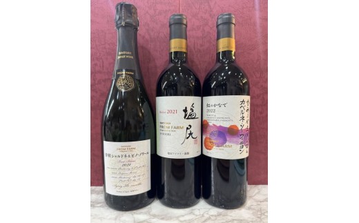  サントリー金銀銅セット | ワイン わいん 赤ワイン 白ワイン お酒 おさけ 酒 さけ ソーヴィニヨン カベルネソーヴィニヨン メルロ サントリーフロムファーム スパークリング 塩尻市 長野県 信州