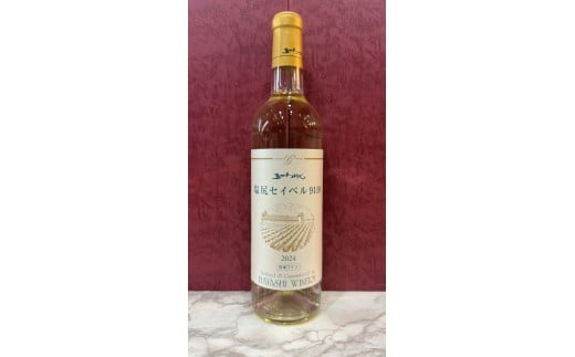 塩尻セイベル9110 2024 | ワイン わいん 赤ワイン 白ワイン お酒 おさけ 酒 さけ セイベル 塩尻市 長野県 信州