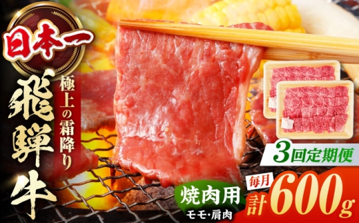 [3回定期便] 飛騨牛 焼肉用 赤身 600g(300g×2)/ 焼肉 牛肉 和牛 定期便 肉 / 白川町 / 浅井商店 [AWBJ012]