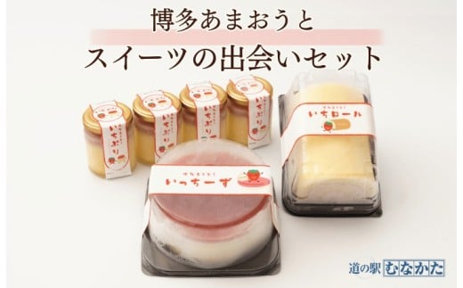 博多あまおうとスイーツの出会いセット【道の駅むなかた】_HA1835