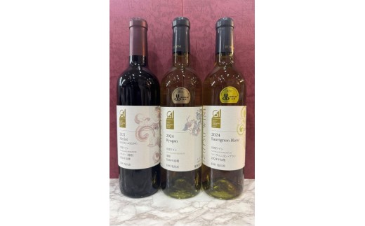  井筒ワインセット① | ワイン わいん 赤ワイン 白ワイン お酒 おさけ 酒 さけ ソーヴィニヨン ソーヴィニヨン・ブラン メルロ 井筒ワイン 塩尻市 長野県 信州