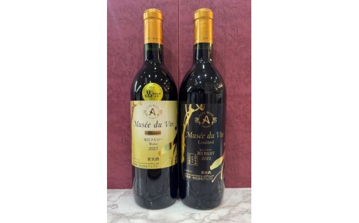  アルプスセット① | ワイン わいん 赤ワイン 白ワイン お酒 おさけ 酒 さけ ソーヴィニヨン カベルネソーヴィニヨン メルロ ミュゼドゥヴァン 塩尻市 長野県 信州