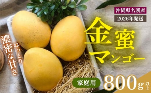 【2026年 先行予約 数量限定】金蜜マンゴー 家庭用 800g以上 家庭用 先行予約 沖縄 甘味 糖度 濃厚 おいしい お土産 まんごー きんみつ ギフト プレゼント 果実 くだもの 果物 ふるさと納税 送料無料 トロピカル 名護市 フルーツ 1856802 - 沖縄県名護市