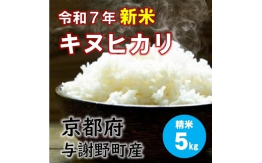 令和7年産新米　特別栽培キヌヒカリ「京の豆っこ米」精米5kg　京都与謝野町　＜伊達農園＞　数量限定【1684174】