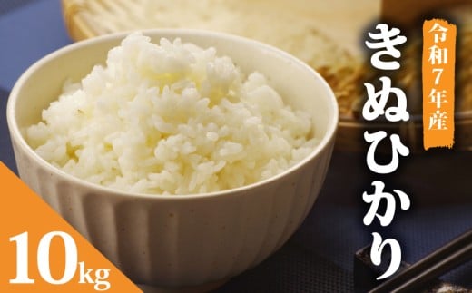 【 令和7年産 】 新米 予約 米 キヌヒカリ 10kg きぬひかり お米 国産 滋賀県 竜王町産 精米 ライス 白飯 ご飯 ゴハン こめ おこめ コメ 白米  産地直送 送料無料 ギフト 滋賀県 竜王町