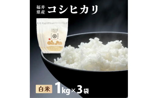 【定期便3回】福井県産 コシヒカリ 精米 3kg（1kg×3）＜令和7年産 新米 / 数量限定 ＞【米 コメ お米 精米 白米 無洗米 玄米 ご飯 飯 こしひかり ブランド米 国産】[095-t3-a301_A] 2370987 - 福井県敦賀市