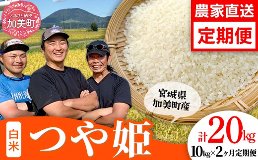 【10kg×2回 計20kg】 米 宮城県産 つや姫　定期便 《 令和7年産 新米 》 ブランド米 白米 精米 ご飯 ごはん コメ こめ お米 小分け 家庭用 結心ファーム [ 宮城県 加美町 ]   |  yu-th10-t2-r7 2337323 - 宮城県加美町