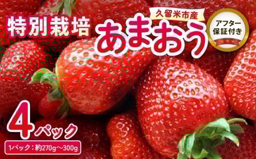 贅沢に4パックお届け