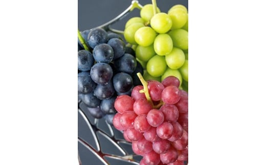 清らかな空気、綺麗な水、豊かな土壌で育まれた元気いっぱいのぶどう