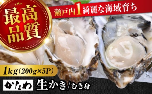 牡蠣 生食 むき身 殻付き かき カキ 生牡蠣 広島牡蠣 オイスター カキフライ 魚介類 貝類 海鮮 広島県産 国産 産地直送