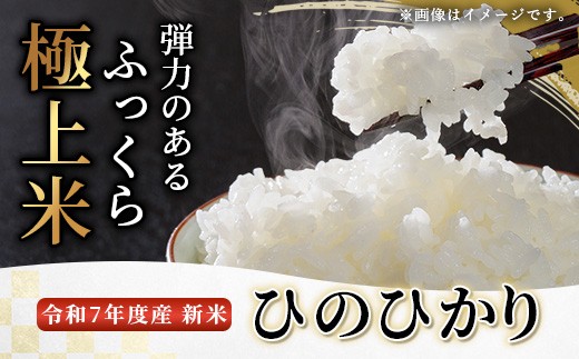 令和4年度産 球磨産 ひのひかり 10kg お米 精米