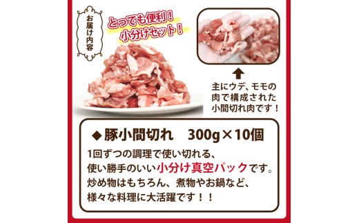 岩手県滝沢市のふるさと納税 国産 四元豚 小間切れ 小分け セット 真空パック 300g 10個 総量 3000g ／ ありすぽーく 豚 肉 豚肉 豚こま 豚小間 切り落とし ３００ｇ 3kg ３ｋｇ ３０００ｇ 小分け包装 個包装 真空 焼肉 焼き肉 炒め物 自宅用 家庭用 人気 おすすめ
