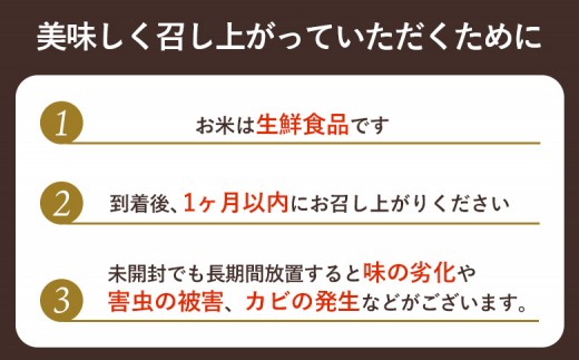 【2025年産】北海道羽幌産 オロロン米ななつぼし10kg（5kg×2セット）