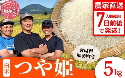 【精米】【5kg】 米 宮城県産 つや姫 《 令和7年産 新米 》 ブランド米 白米 精米 ご飯 ごはん コメ こめ お米 小分け 家庭用 結心ファーム [ 宮城県 加美町 ]  | yu-th05-r7 2337328 - 宮城県加美町