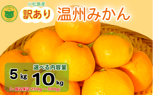 【2025年11月順次発送】 訳あり みかん 温州みかん5kg/10kg (+傷み保証250g~500g) ミカン 蜜柑 甘い フルーツ 柑橘 ジュース 小松島市 オススメ 人気 ふるさと納税 5kg 10kg