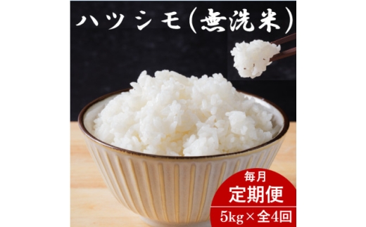 ＜毎月定期便＞岐阜県産ハツシモ(無洗米) 5kg全4回【4076368】