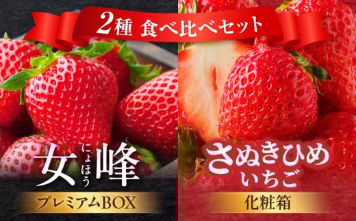 【数量限定】厳選いちご2種 食べ比べセット |スイーツ いちご ストロベリー さぬき姫 さぬきひめ 女峰 食べ比べ 苺 セット 定期便 冷蔵 甘い フルーツ 旬 果物 香川県 デザート 青果物 贈答 プレゼント 化粧箱 贈り物 旬 おすすめ 三木町 送料無料 |_mk006-g001