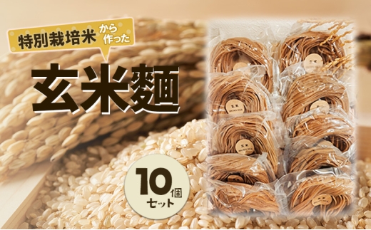 特別栽培米から作った玄米麵　10個セット | 麵 めん 米粉 グルメ 奈良県 [№5990-0932]