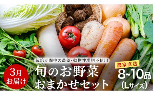 農家直送 旬のお野菜 おまかせセット 【2026年3月お届け】 Lサイズ（8~10品） 野菜セット 野菜 旬 詰め合わせ やさい おまかせ 自然 春野菜 夏野菜 セット 季節 新鮮 旬 農家直送