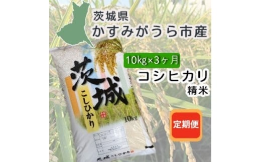 ＜毎月定期便＞茨城県かすみがうら産　精米　コシヒカリ10kg全3回【4076524】 2370329 - 茨城県かすみがうら市