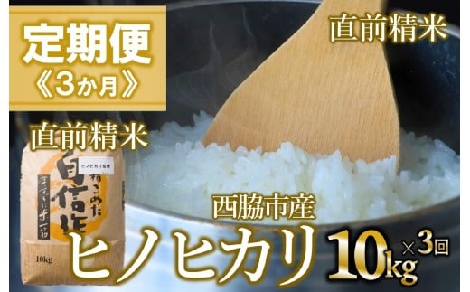 【定期便 3か月 ヒノヒカリ】白米10kg（3か月連続お届け）新米 2025年産　米 お米 米10㎏ お米10㎏ 兵庫県産 ひのひかり ヒノヒカリ 西脇市産 定期 連続 3回 3か月 2025年産 精米 便利 らくちん ラク