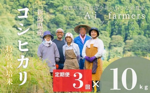 【令和7年産】米 コシヒカリ 10kg  『3回定期便』 新潟県 糸魚川市産 減農薬 減化学肥料米 BL米 安心 安全 美味しいお米 新潟米 今井産 アイファーマーズ 今摺り米 精米 白米【こしひかり おにぎり お弁当 におすすめ お米 おこめ コメ ご飯 ライス ふるさと納税米 ブランド米 令和7年産 2025年 10キロ × 3回 】