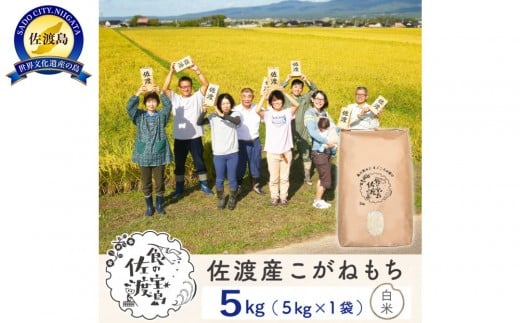 【新米】佐渡島産 こがねもち 精米 5Kg 2370440 - 新潟県佐渡市