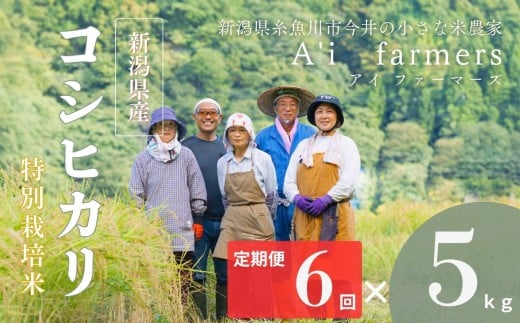 【令和7年産】米 コシヒカリ 5kg  『6回定期便』 新潟県 糸魚川市産 減農薬 減化学肥料米 BL米 安心 安全 美味しいお米 新潟米 今井産 アイファーマーズ 今摺り米 精米 白米【こしひかり おにぎり お弁当 におすすめ お米 おこめ コメ ご飯 ライス ふるさと納税米 ブランド米 令和7年産 2025年 5キロ × 6回 】