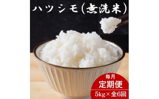 ＜毎月定期便＞岐阜県産ハツシモ(無洗米) 5kg全6回【4076378】
