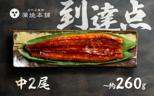 【土用の丑の日】国産うなぎ 蒲焼≪2尾≫ 詰め合わせ 蒲焼 ウナギ 2尾 4尾 6尾 8尾 10尾 うなぎ 鰻 ウナギ unagi 土用 丑の日 国産 国産うなぎ 若うなぎ カネナカ うなぎのカネナカ 蒲焼 タレ付 長焼 お祝い 誕生日 お歳暮 お中元 高級 プレゼント 鰻 うなぎ ウナギ ギフト