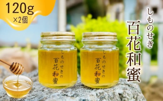 【しものせきの百花和蜜】 はちみつ ニホンミツバチはちみつ 240g 120g✕2個 ハチミツ 蜂蜜 国産 下関産 無添加 非加熱 はちみつ HONEY ハニー  健康 朝食 プレゼント (トースト ホットケーキ パンケーキ ミツバチ ヨーグルト) 養蜂 下関 山口 