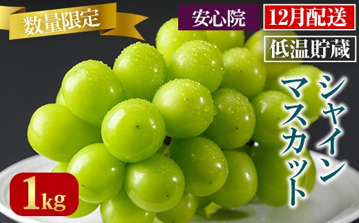 貯蔵シャインマスカット(1kg)シャインマスカット ぶどう 葡萄 フルーツ 果物 くだもの 果実＜先行予約受付中 2025年12月上旬から順次発送予定＞＜北海道 沖縄 離島配送不可＞【106301000】【大分県農業協同組合　北部エリア】