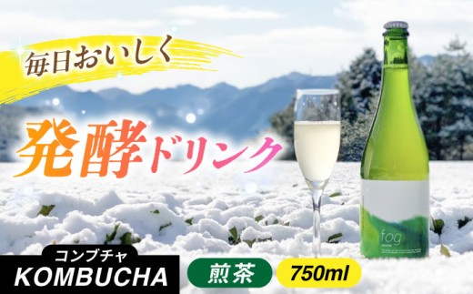 煎茶コンブチャ　fog-sencha 750ml オリジナルコンブチャ お茶 発酵飲料 腸活 白川町 / 新田製茶 [AWBK006]