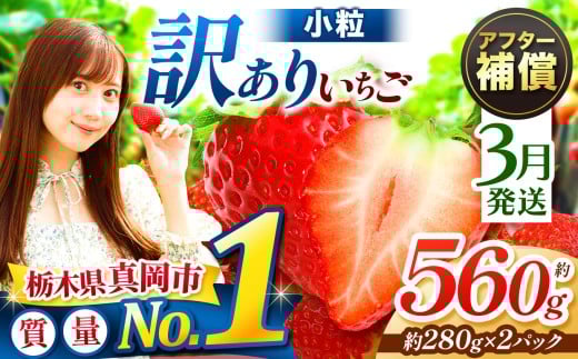  【3月発送】訳あり 小粒 とちあいか 約560g 2P  | 1月 2月 3月 4月 おいしい 訳あり | 生産量 日本一 果物 フルーツ 苺 イチゴ 2026年分 シーズン 先行受付 栃木県 真岡市 送料無料