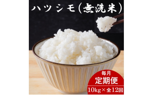 ＜毎月定期便＞岐阜県産ハツシモ(無洗米) 10kg全12回【4076358】