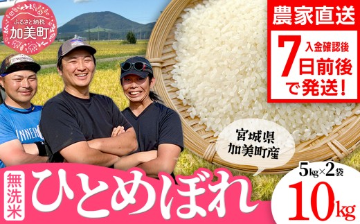  【無洗米】【10kg】 米 宮城県産 ひとめぼれ 《 令和7年産 新米 》 ブランド米 白米 精米 ご飯 ごはん コメ こめ お米 小分け 家庭用 結心ファーム [ 宮城県 加美町 ]  | yu-hb10-mu-r7 2337266 - 宮城県加美町