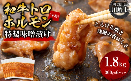 ＜訳アリ＞和牛トロホルモン　特製味噌漬け　1.8kg(300g×6）