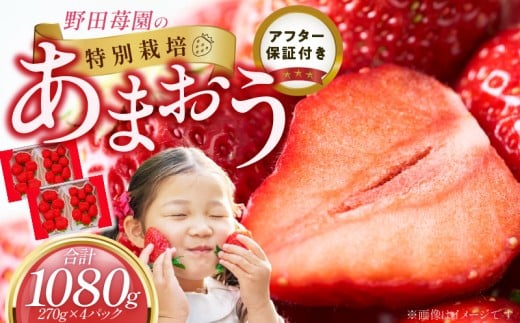苺（あまおう）270g×2パック×2箱 _ あまおう 270g 2パック 2箱 計 1080g 福岡県産 いちご ストロベリー 特別栽培 認証 アフター保証 安心 安全 艶 果物 果汁 フルーツ スイーツ デザート 冷蔵 福岡県 久留米市 お取り寄せ 送料無料 _Fi076