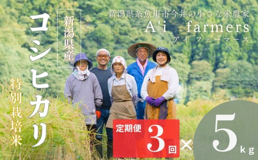 【令和7年産】米 コシヒカリ 5kg  『3回定期便』 新潟県 糸魚川市産 減農薬 減化学肥料米 BL米 安心 安全 美味しいお米 新潟米 今井産 アイファーマーズ 今摺り米 精米 白米【こしひかり おにぎり お弁当 におすすめ お米 おこめ コメ ご飯 ライス ふるさと納税米 ブランド米 令和7年産 2025年 5キロ × 3回 】