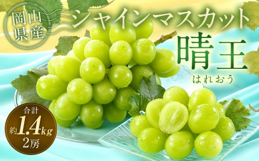 ぶどう 2026年 先行予約 シャイン マスカット 晴王 2房 合計1.4kg以上 【2026年9月上旬～10月上旬 発送予定】 シャインマスカット 葡萄 ブドウ 大粒 種なし 皮ごと フルーツ 果物 果実 ギフト 環山堂 岡山県産 国産 岡山県 奈義町 冷蔵