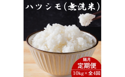 ＜2ヵ月毎定期便＞岐阜県産ハツシモ(無洗米) 10kg全4回【4076361】